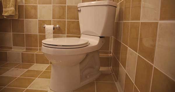 The Great “Explosive Diarrhea” Outbreak of 2026: When a Tiny Parasite Crashes the Party